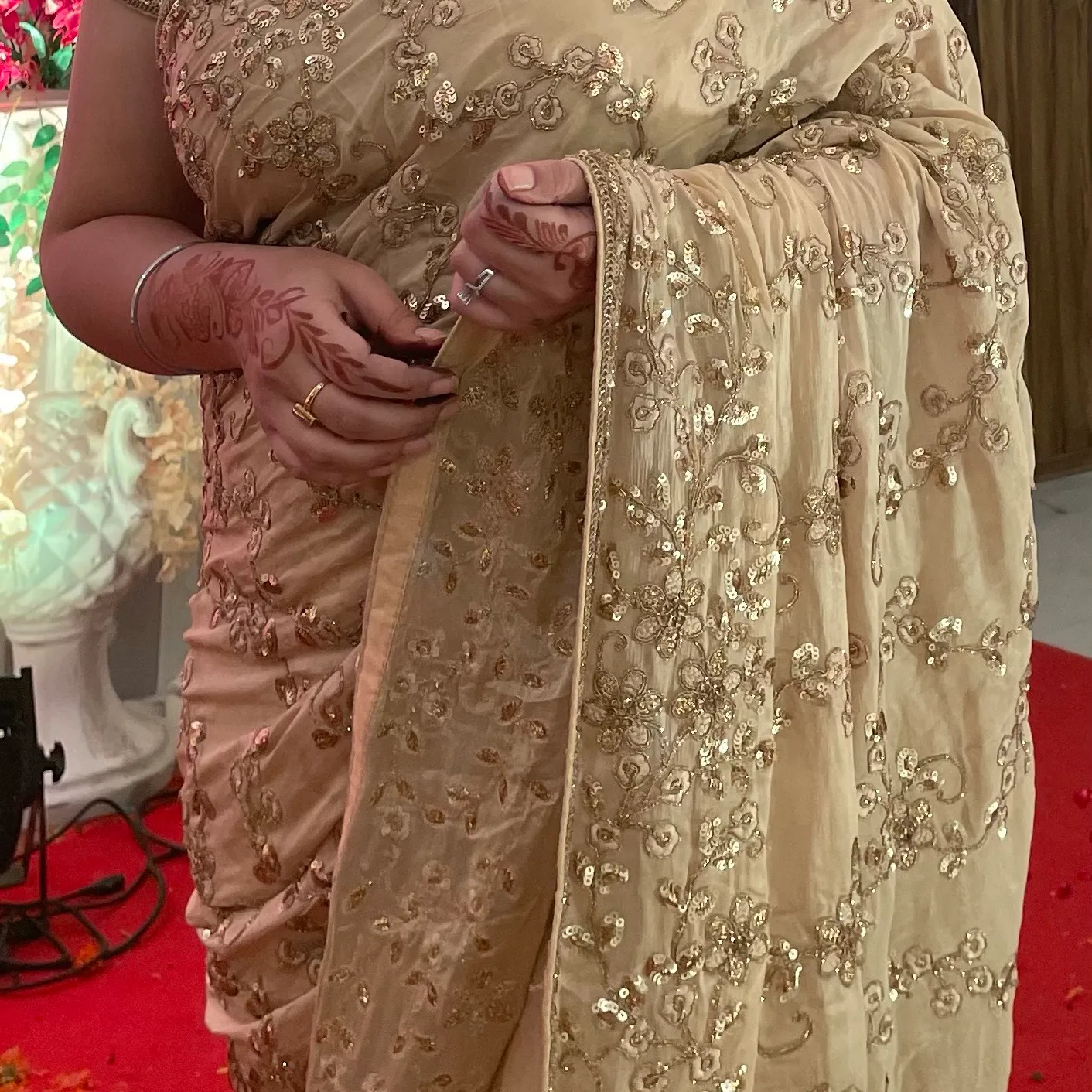 Golden Sequin Saree — 4